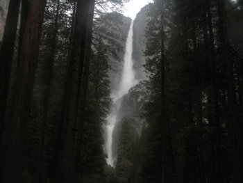 blog20090502-YosemiteYosemitaFall