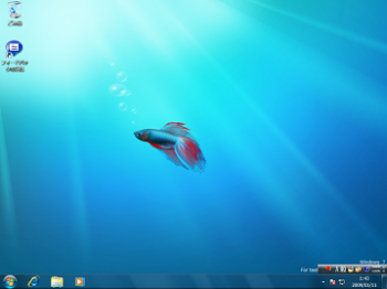 Windows7-Desktop